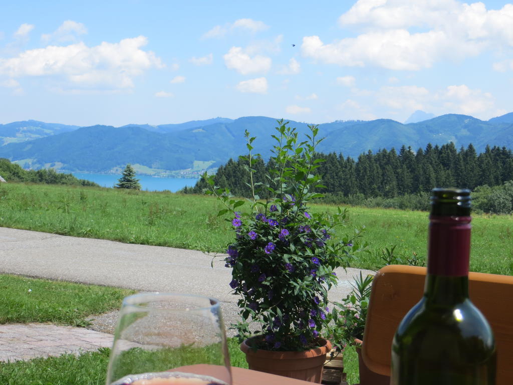 Ferienwohnung Brigitte Perner Nussdorf am Attersee Exterior foto